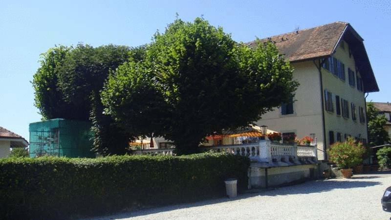 Hotel De Bahyse Blonay Exterior photo